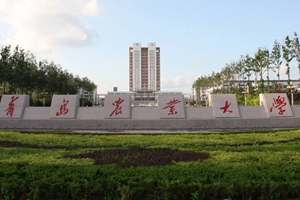 文明实践志愿者队伍——阳光使者传习队（136人）