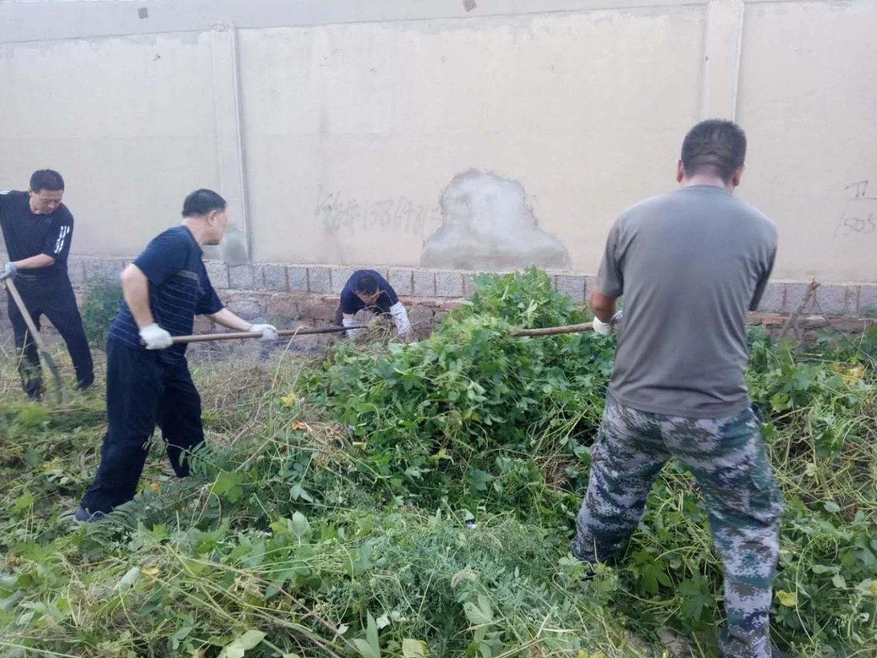 整治环境卫生 全力打造美丽乡村