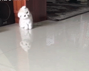 睡前做这几件事相当于