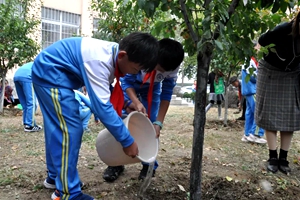 环城路小学开展“小手拉大手，护绿我先行”活动