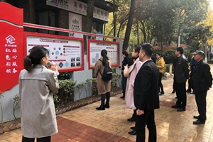 赋能城市基层治理，“红色物业”显活力