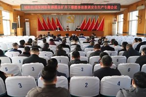 城阳街道召开安全生产专题会议