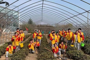 “小手拉大手，共筑碧海蓝天”——铁骑山小学开展植树节系列主题教育活动