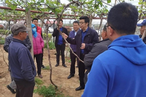 惜福镇街道联合城阳区农业农村局开展科技下乡活动