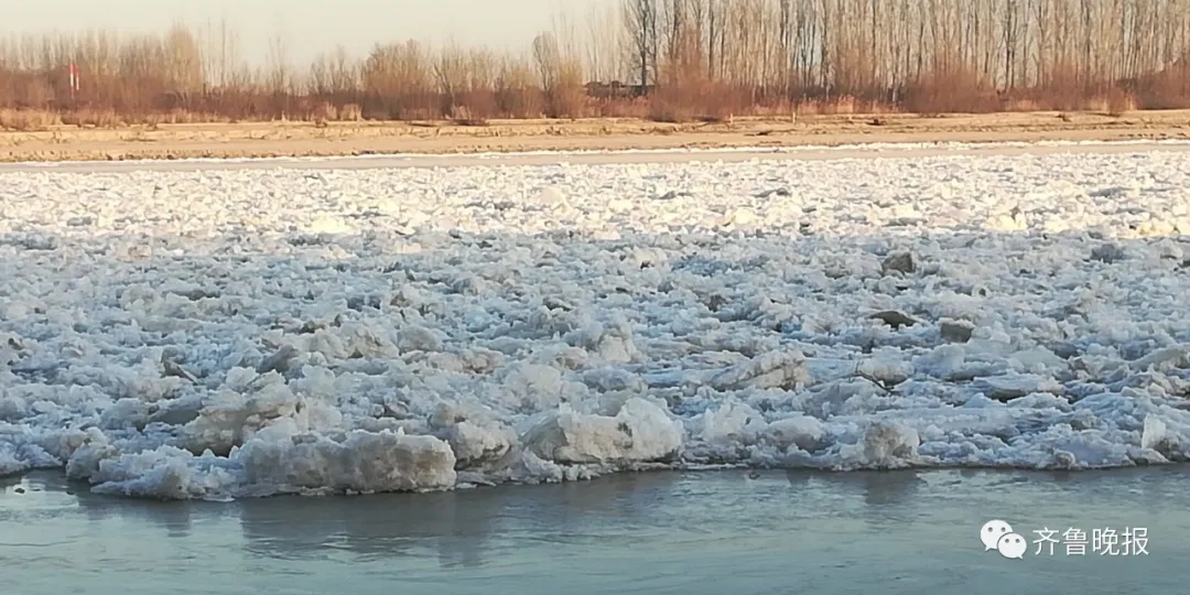 黄河出现罕见大面积封河满满冰凌纹丝不动绵延十几公里